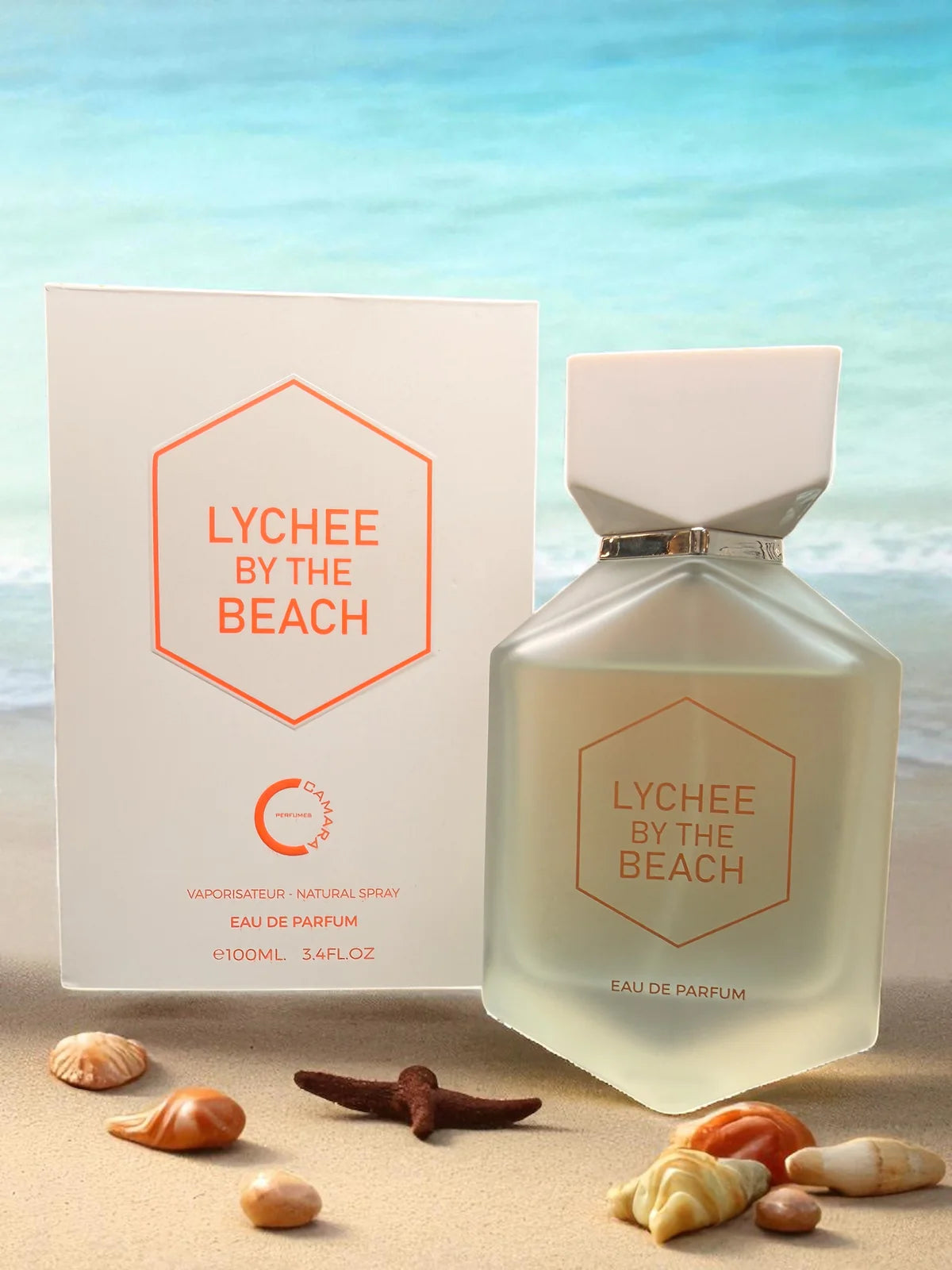 LYCHER BY THE BEACH/Camara 3.4 o.z