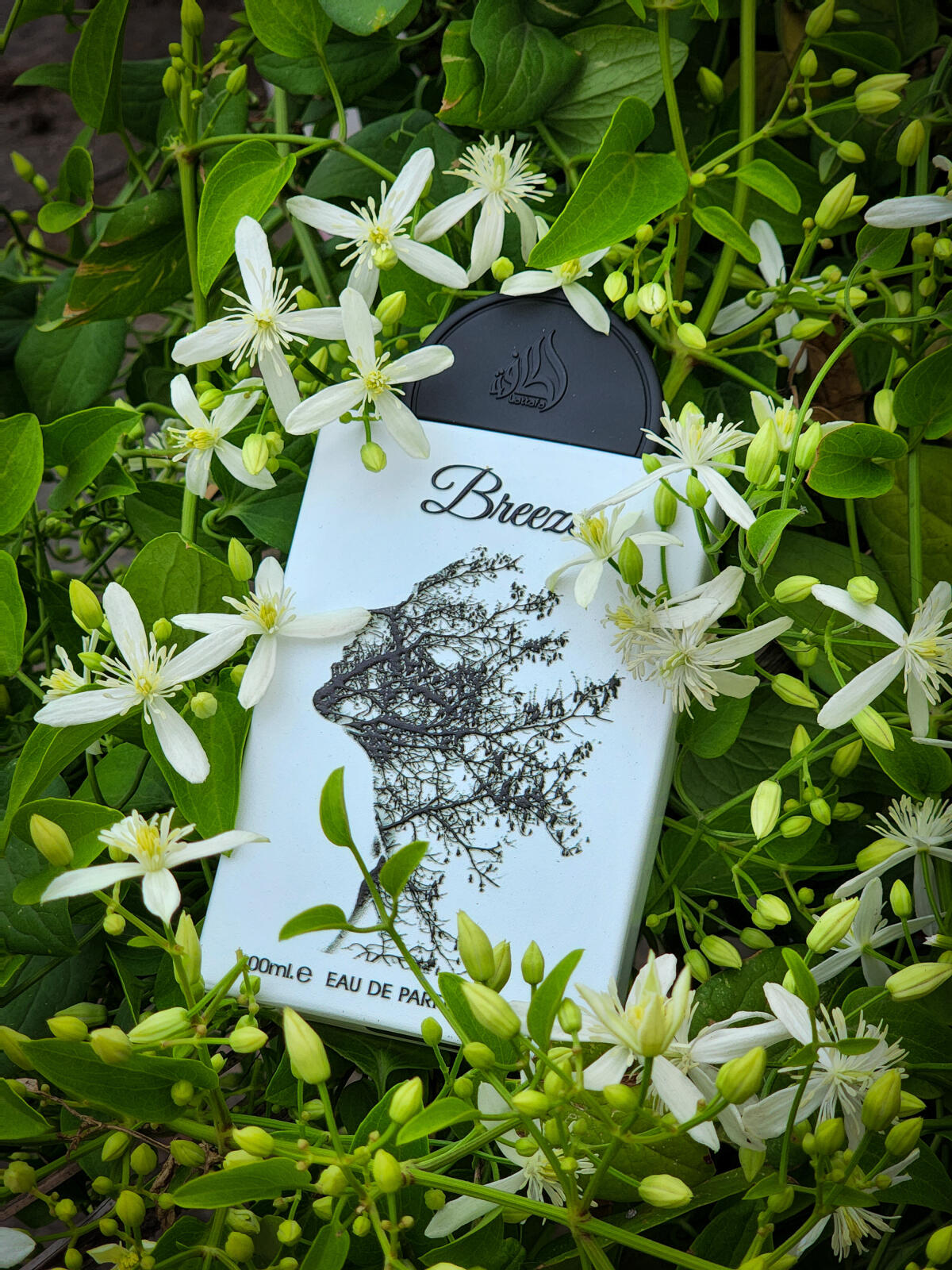 Breeze / Lattafa 3.4oz