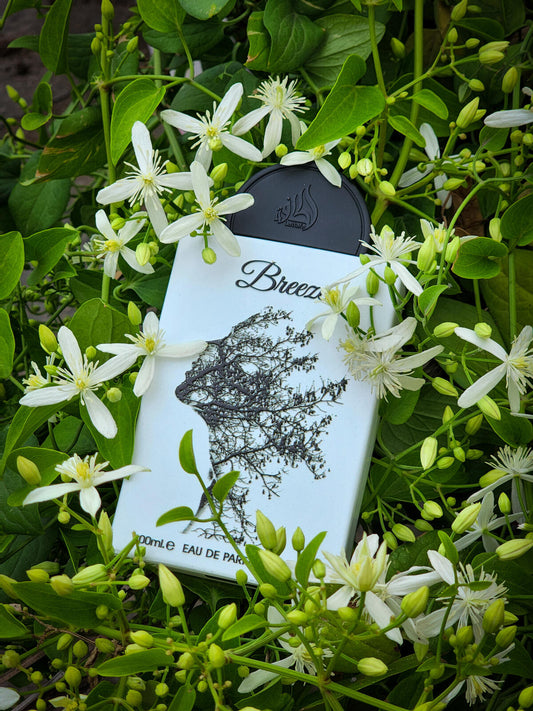 Breeze / Lattafa 3.4oz