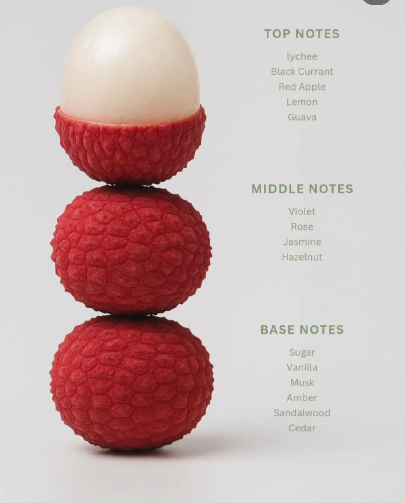 LYCHER BY THE BEACH/Camara 3.4 o.z